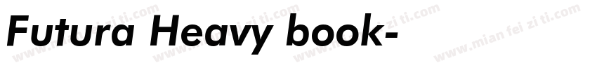 Futura Heavy book字体转换